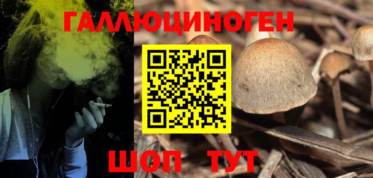 Галлюциногенные грибы Psilocybine cubensis  Галлюциногенные грибы Cubensis  Вход с VPN  Касимов 